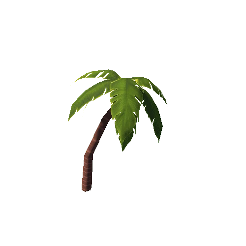 Palm F Lod